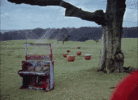 1716467807520.gif