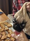 phonto.jpeg