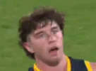 Ned [20200606a].gif