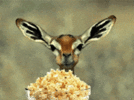 IMG_6901.gif