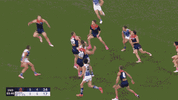 2024R15.gif