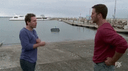 IMG_7038.gif
