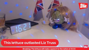 1720152924392.png