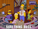 IMG_7152.gif