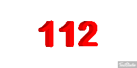 IMG_0290.gif