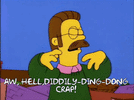 Simpsons Flanders Crap.gif