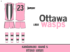 ottawa wasps final.png
