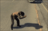 1363263398173.gif