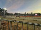 IMG_5735.jpeg