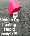 1732001560562.png