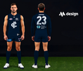 Photorealistic Guernsey Swap 2 (Small) Carlton.png