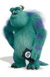 SULLEY_1-scaled.jpg