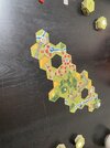 IMG_1729.jpeg
