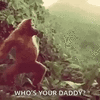 IMG_3025.gif