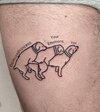 IMG_2529.jpeg