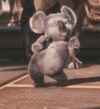 IMG_8148.gif