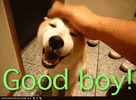 1738673467769.gif