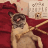 1738673829602.gif