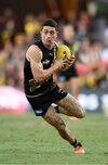 castagna1.JPG