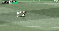 DangerInjuringVlastuin-optimize.gif