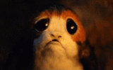 Crying Porg.gif