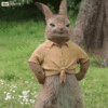 1740862742636.gif