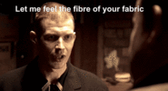 lock stock fibre.gif