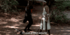 image.gif