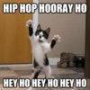 cat dancing hey ho.jpg