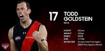 17 - Goldstein.jpg