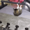 IMG_5172.gif