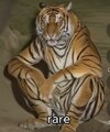 IMG_0644.jpeg