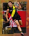 lalor2.jpg