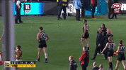 1742036105194.gif