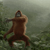 IMG_5176.gif