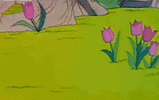 IMG_8539.gif