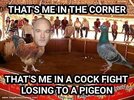 IMG_8138.jpeg