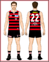 StKilda-Uniform2025G-Back.png