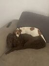 IMG_6842.jpeg