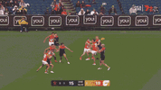 Petracca Goal 1.gif