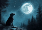 Moon Wolf.gif