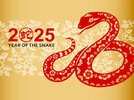 year of the snake.jpg