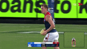 McDonald-ezgif.com-optimize.gif