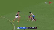 Woewodin-ezgif.com-optimize.gif