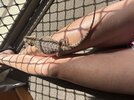 IMG_0118.jpeg
