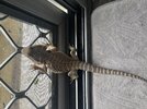 IMG_9972.jpeg