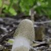 IMG_3169.gif