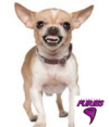 IMG_0360.png IMG_0360.png