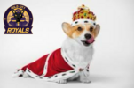 IMG_0361.png IMG_0361.png