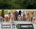 IMG_0353.png IMG_0353.png